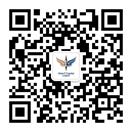 必发集团 Vision Plus Capital